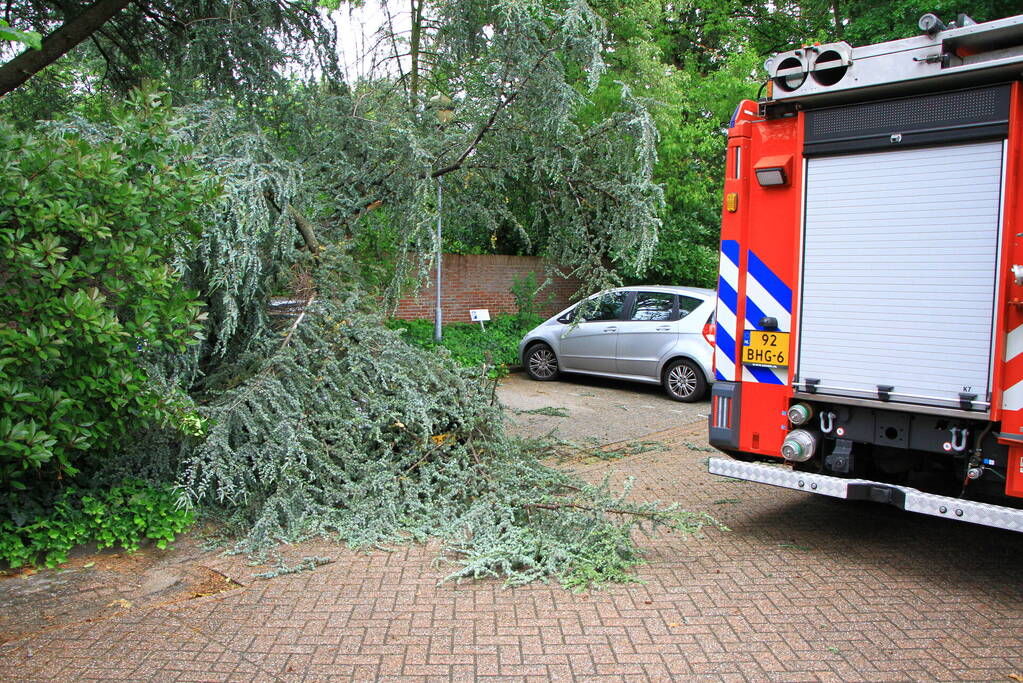 Enorme tak valt op geparkeerde auto