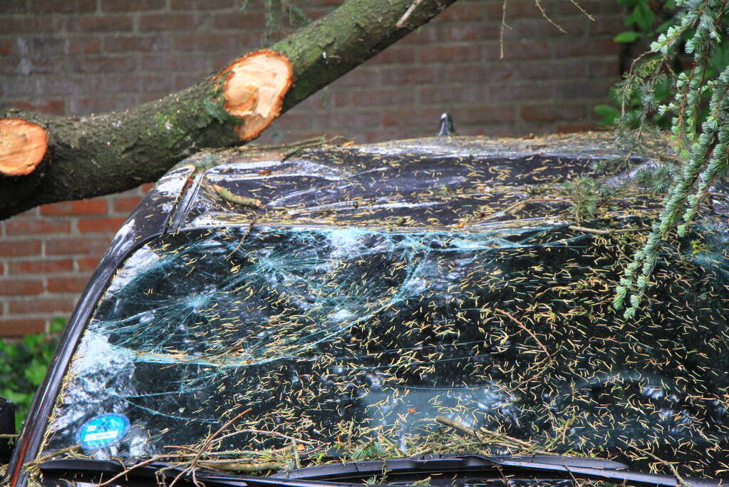 Enorme tak valt op geparkeerde auto
