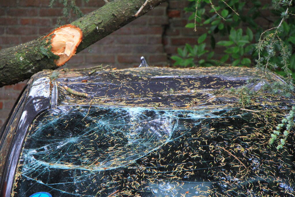 Enorme tak valt op geparkeerde auto