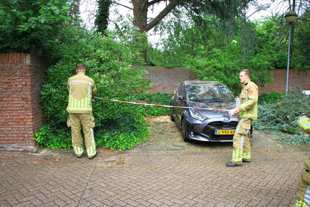 Enorme tak valt op geparkeerde auto