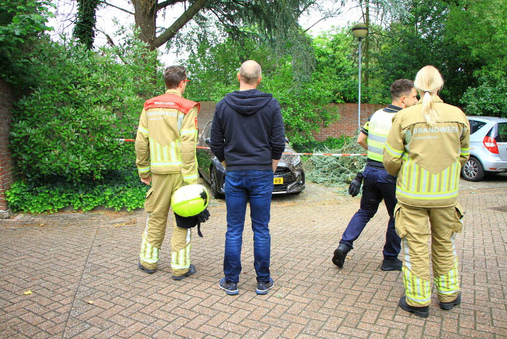 Enorme tak valt op geparkeerde auto