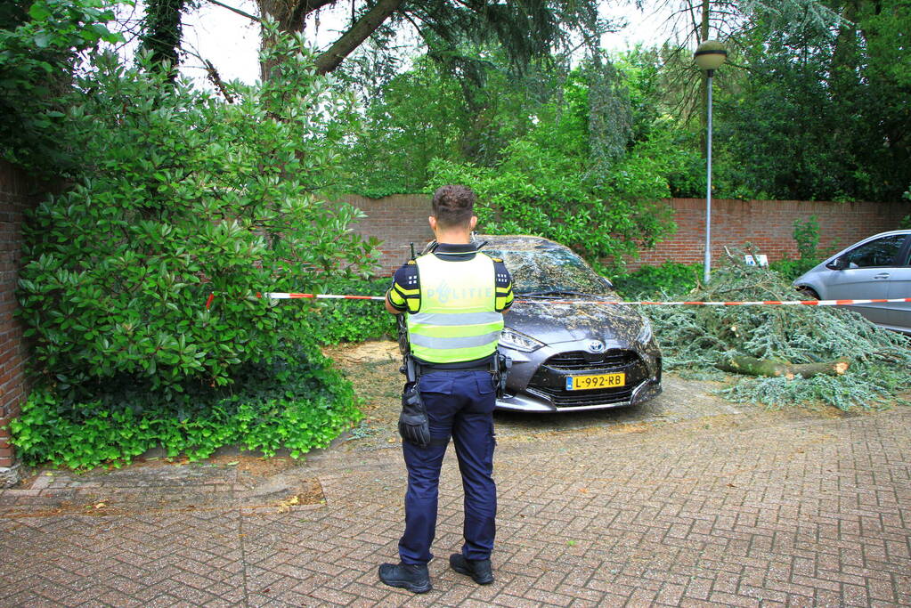 Enorme tak valt op geparkeerde auto