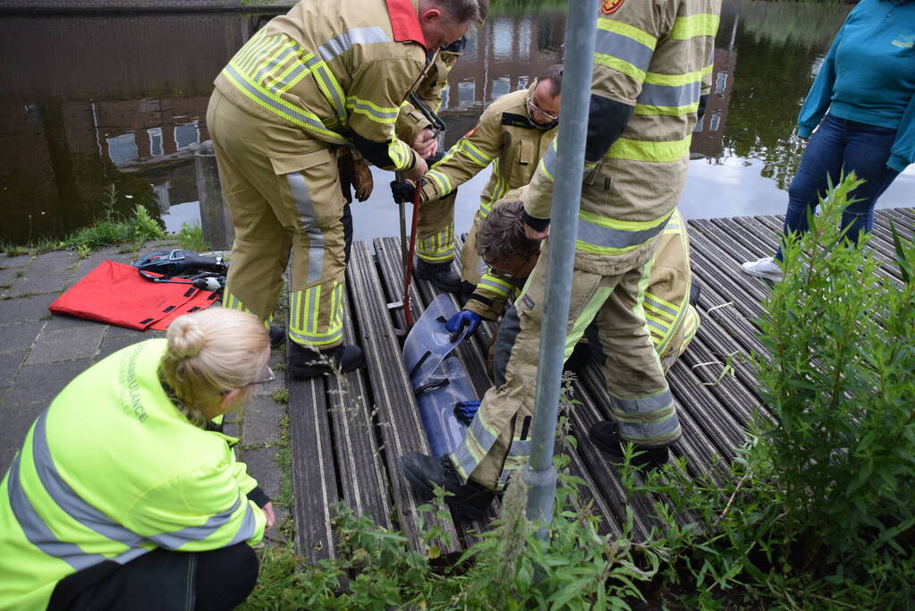 Eendjes herenigd met moeder eend