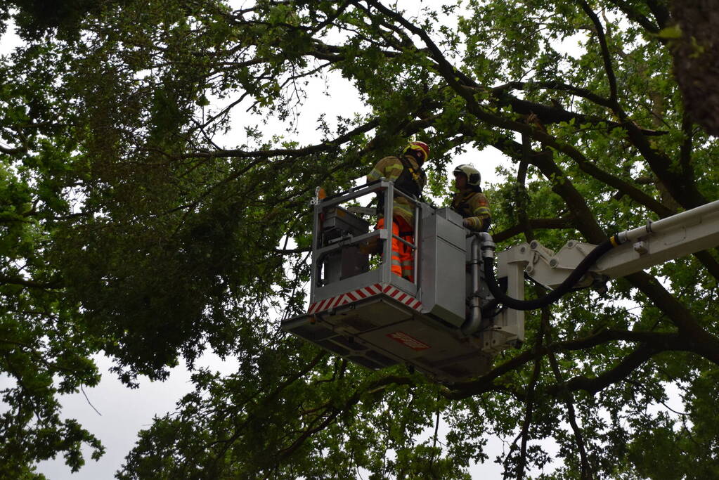 Hoogwerker brandweer weigerde dienst bij stormschade