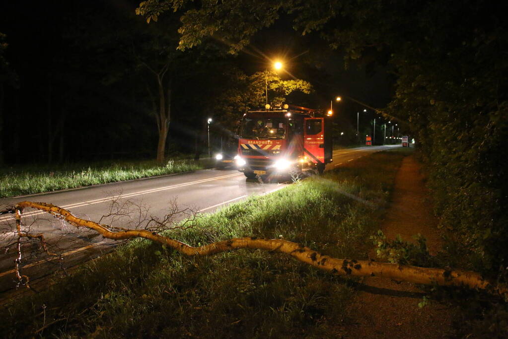 Personenauto beschadigd na omvallende boom