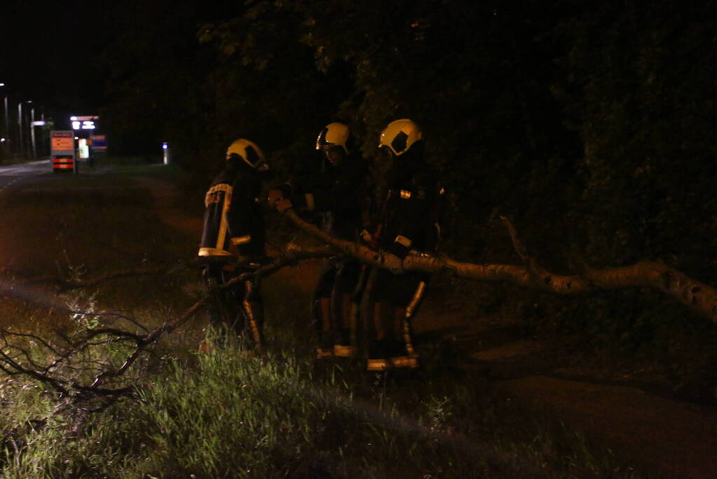 Personenauto beschadigd na omvallende boom