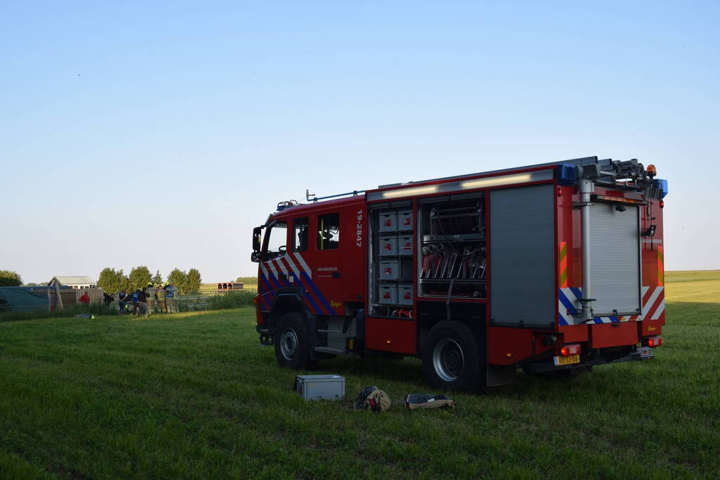 Brandweer redt paard uit de sloot