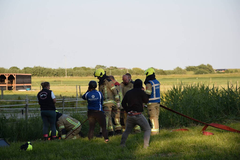Brandweer redt paard uit de sloot