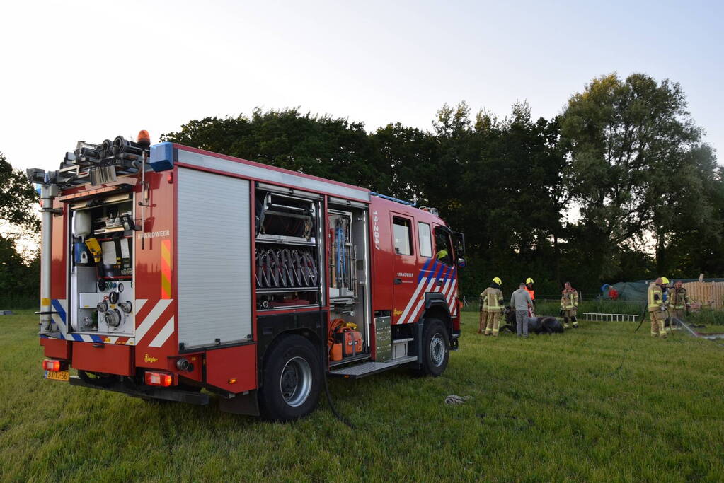 Brandweer redt paard uit de sloot