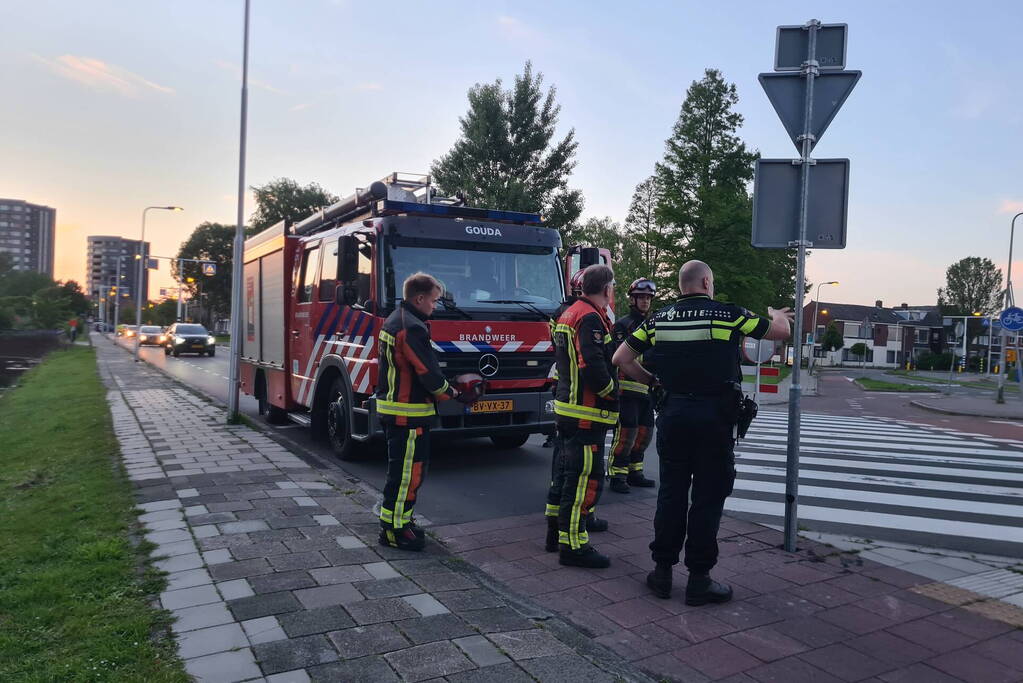 Automobilist rijdt tegen lantaarnpaal