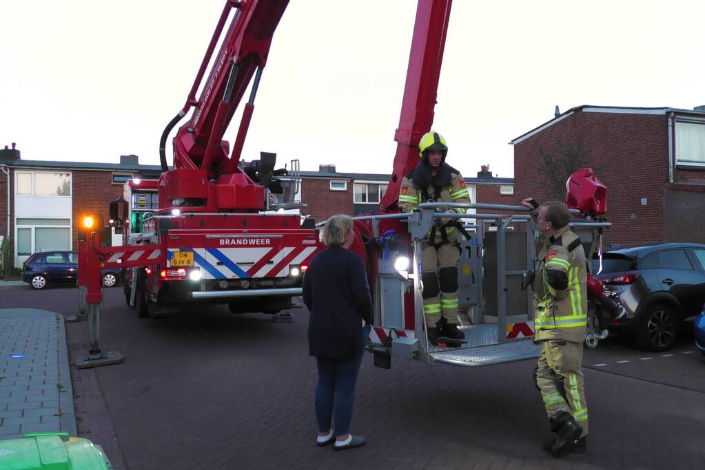 Brandweer redt kraai uit boom