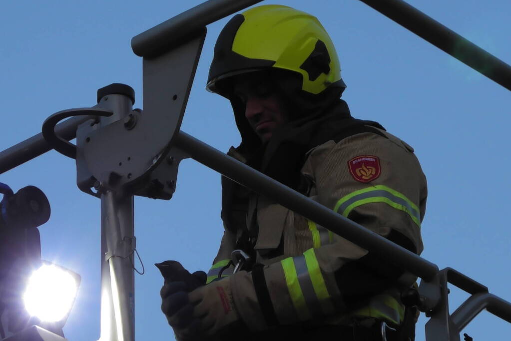 Brandweer redt kraai uit boom