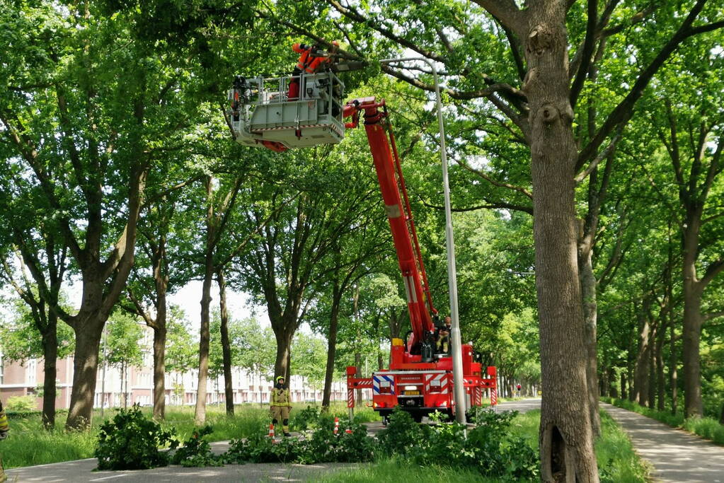 Flinke tak zorgt voor gevaarlijke situatie