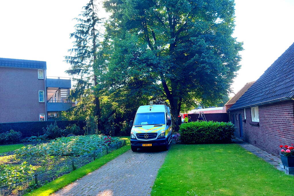 Kat door brandweermannen uit boom gehaald