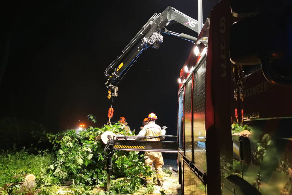 Brandweer verwijdert omgevallen boom