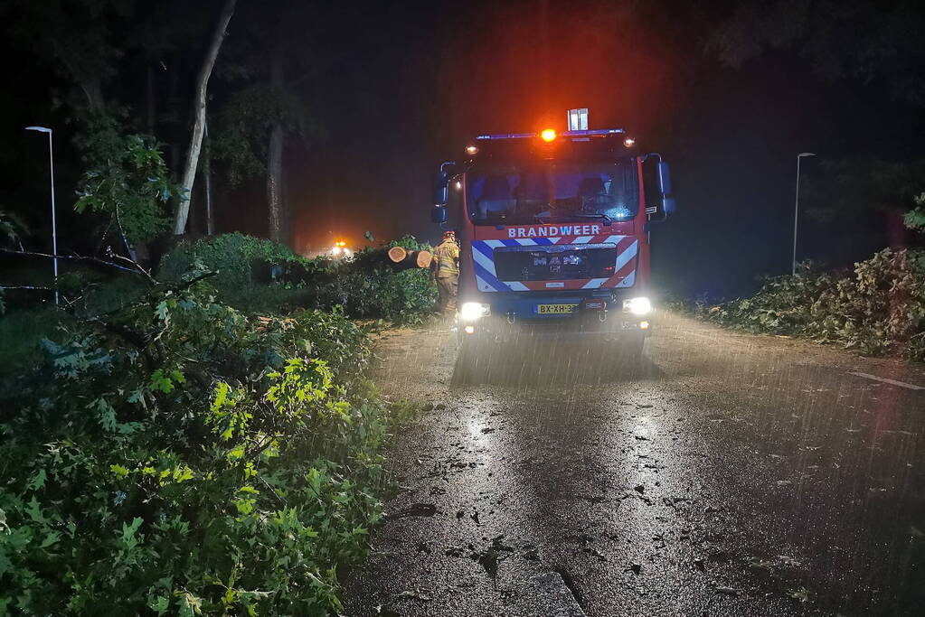 Brandweer verwijdert omgevallen boom
