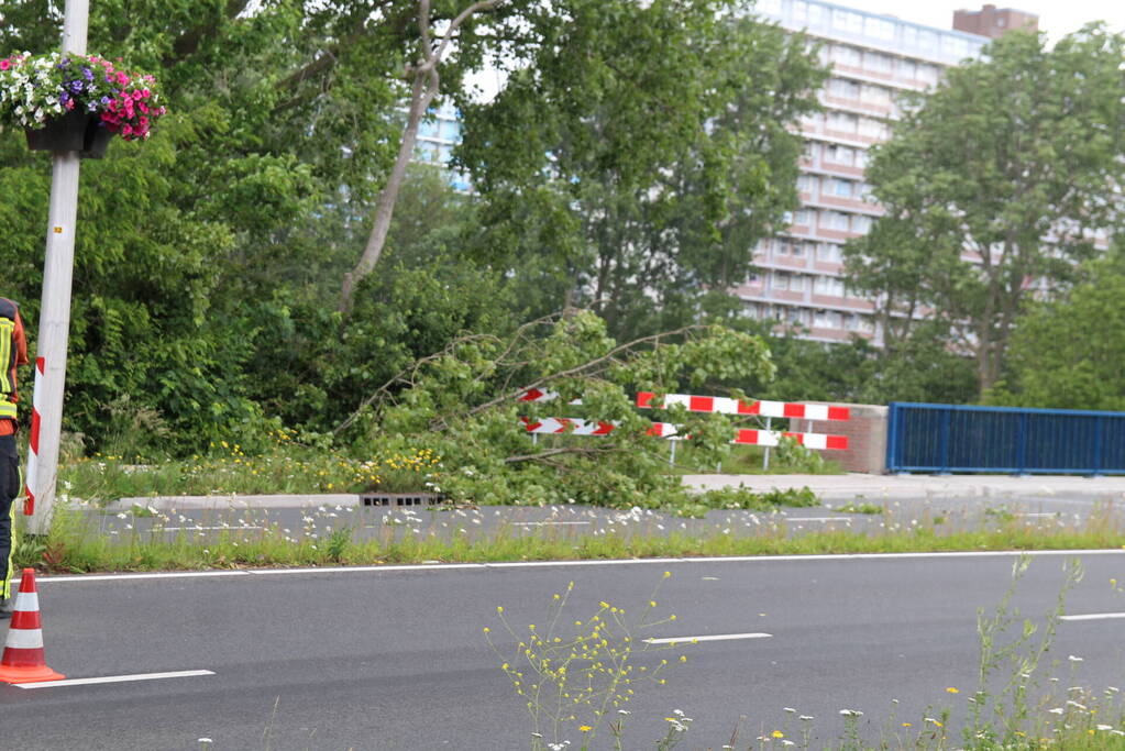 Afgebroken tak dreigt op weg te vallen