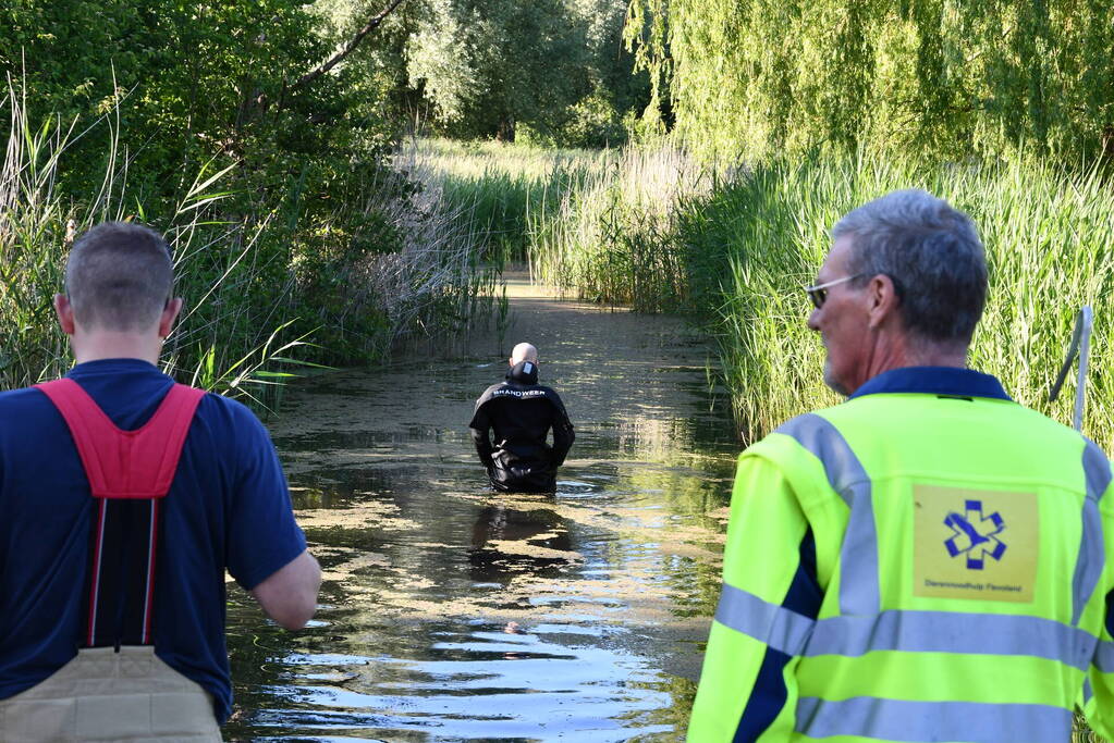 Zwaan raakt verstrikt in visdraad met dobber