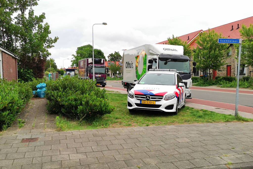 Politie ontdekt hennepplanten in kelder van woningen