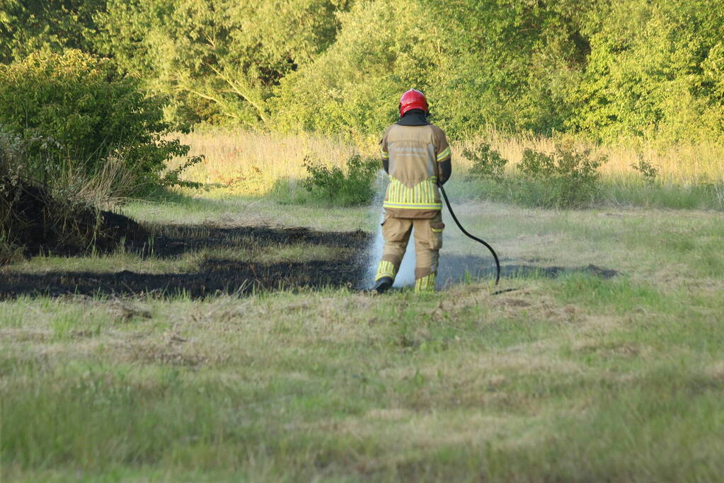 Brandweer blust brandend riet