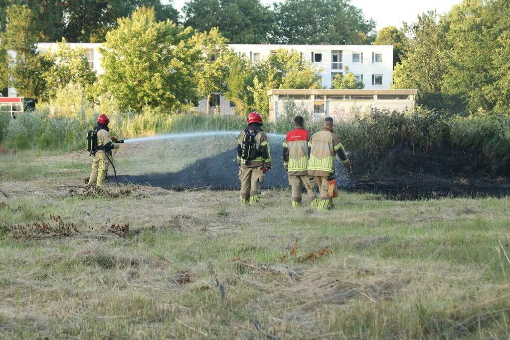 Brandweer blust brandend riet