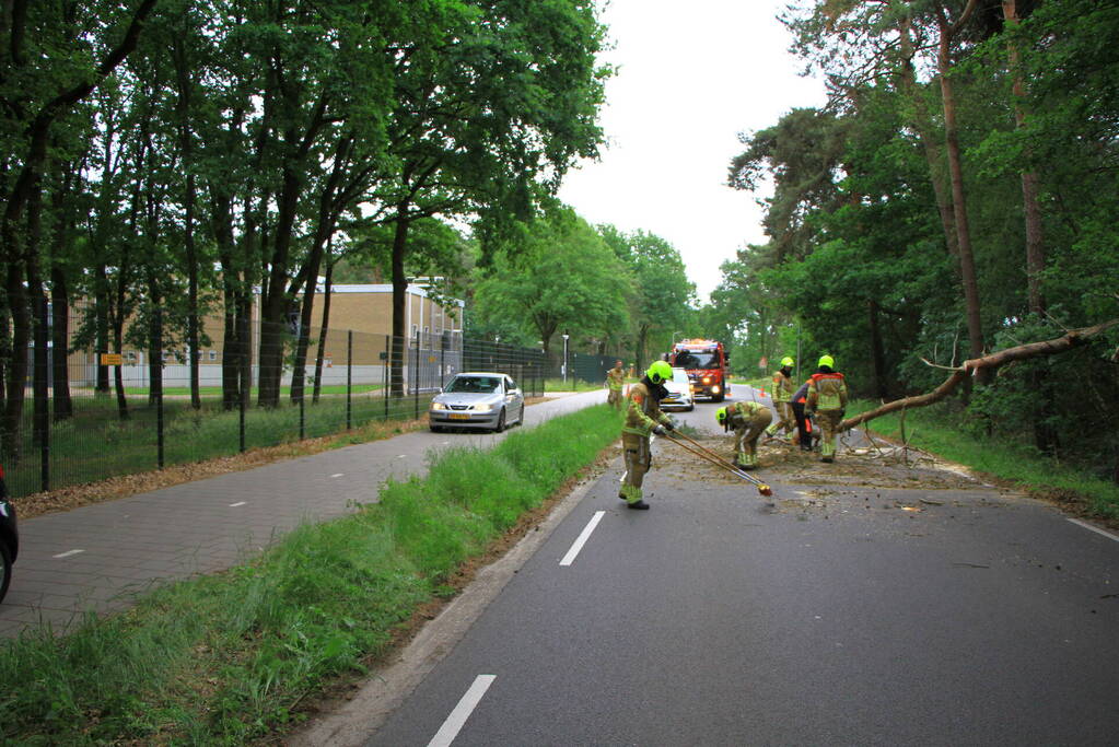 Omgevallen boom blokkeert rijbaan