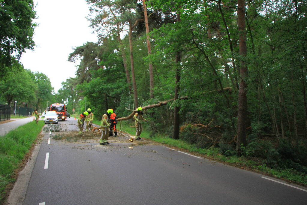 Omgevallen boom blokkeert rijbaan