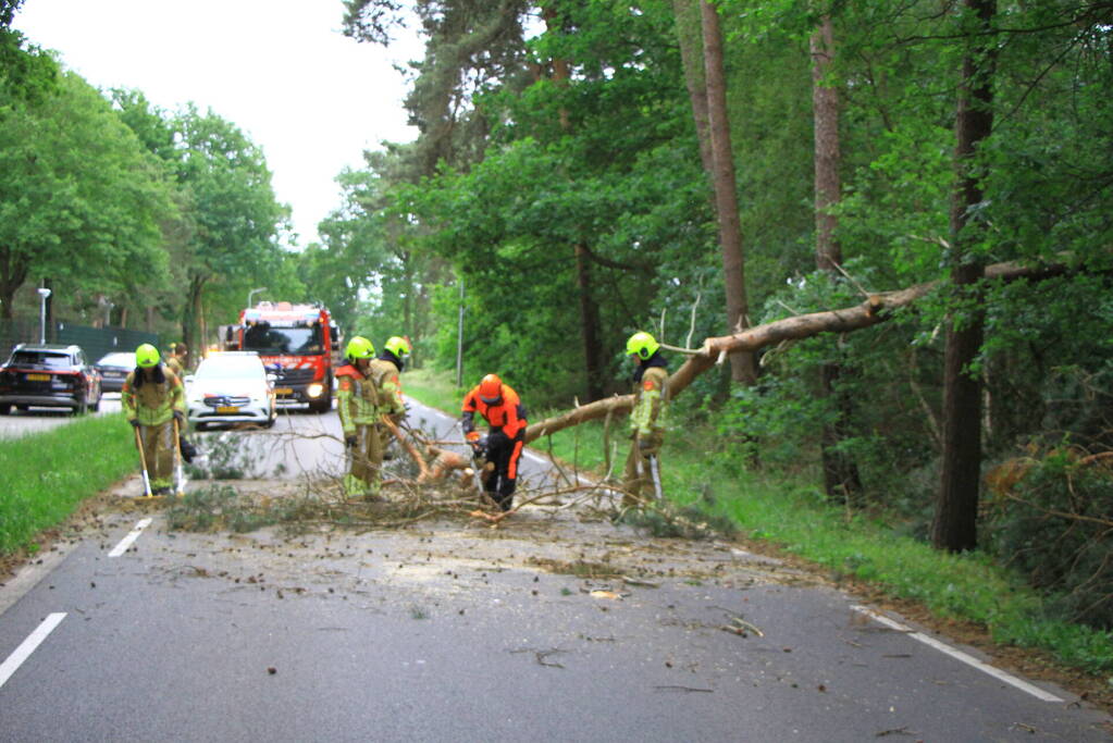 Omgevallen boom blokkeert rijbaan