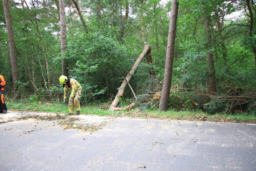 Omgevallen boom blokkeert rijbaan