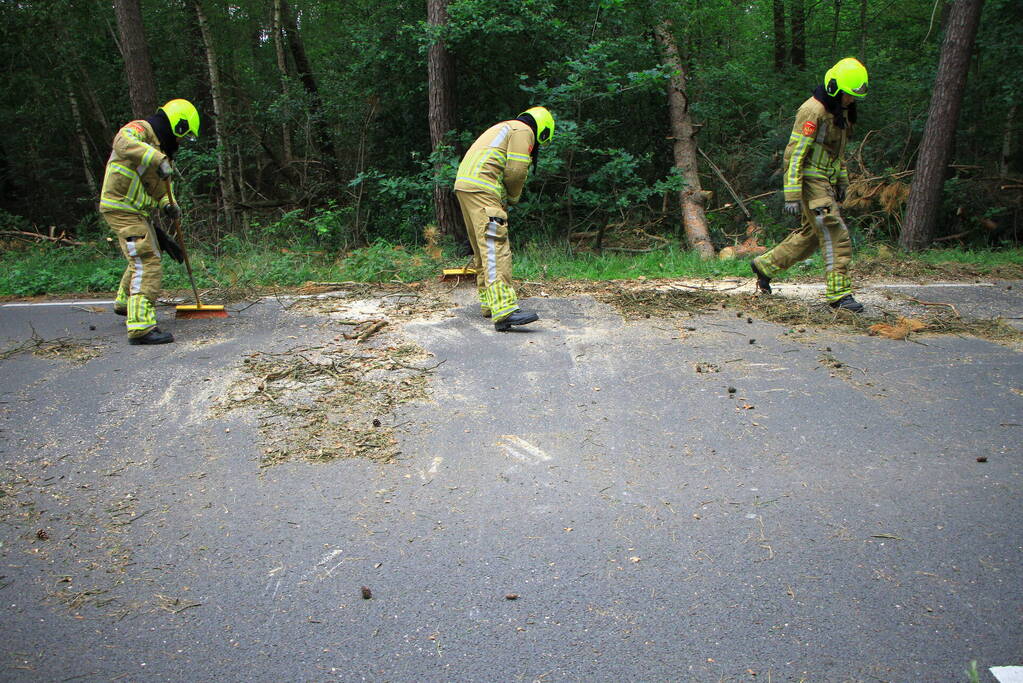 Omgevallen boom blokkeert rijbaan