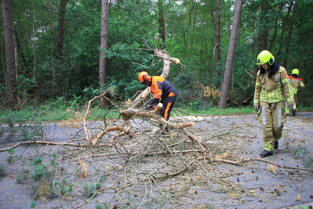Omgevallen boom blokkeert rijbaan