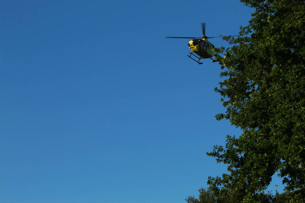 Fietser botst tegen boom en raakt ernstig gewond