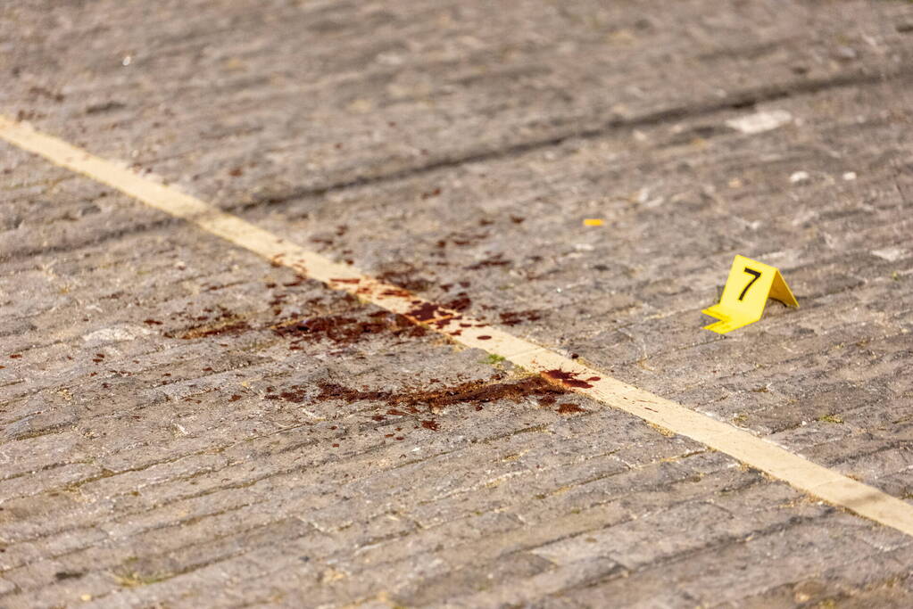 Zwaar gewonde bij steekpartij