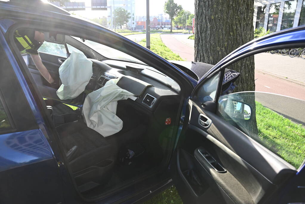 Bestuurder parkeert auto tegen boom en verdwijnt