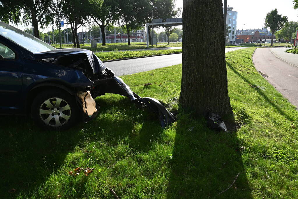 Bestuurder parkeert auto tegen boom en verdwijnt