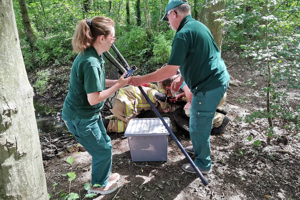 Baby eendjes uit een put gevist