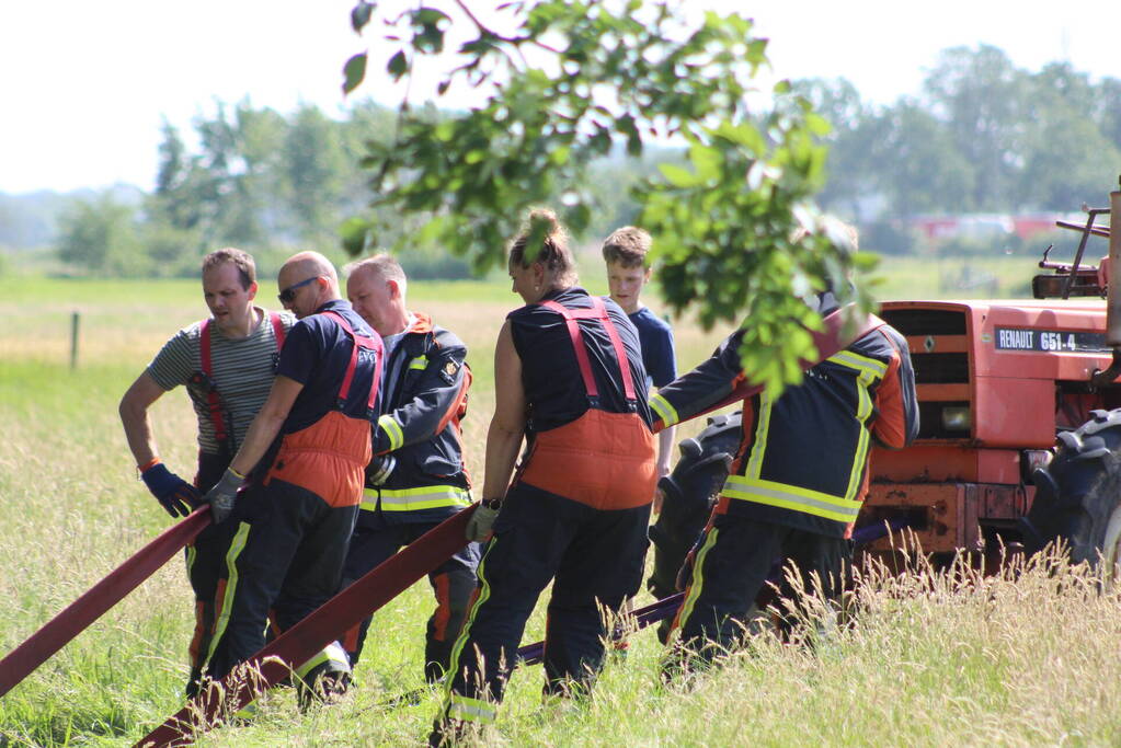 Een te water geraakte koe uit het water gehaald