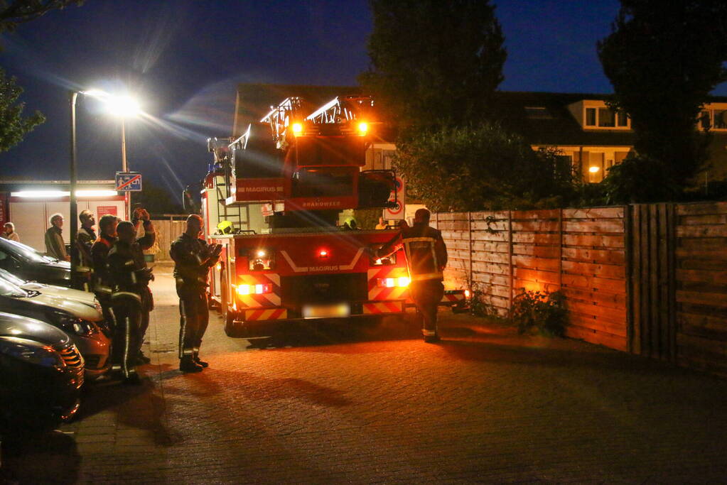 Pauw zoekt het hoger op en zit vast op het dak