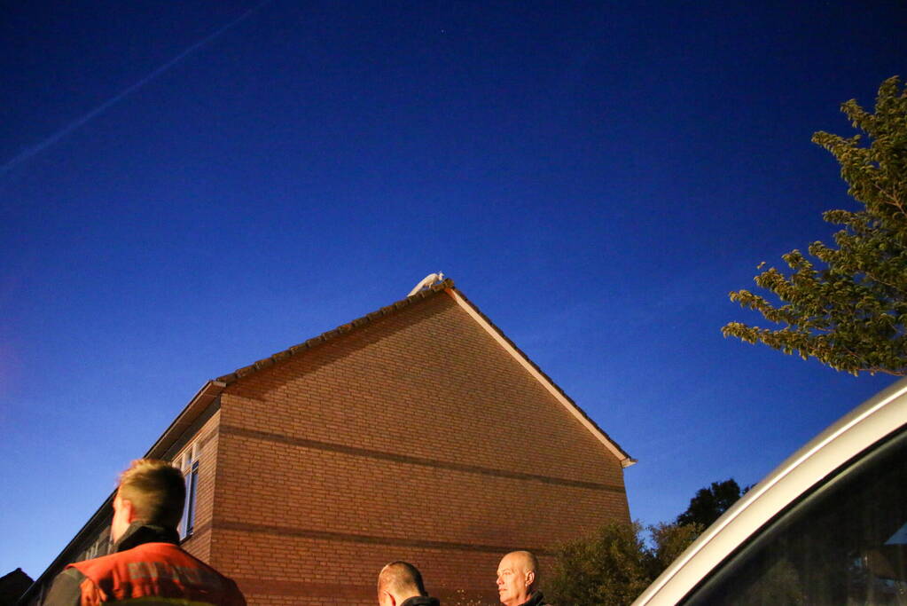 Pauw zoekt het hoger op en zit vast op het dak