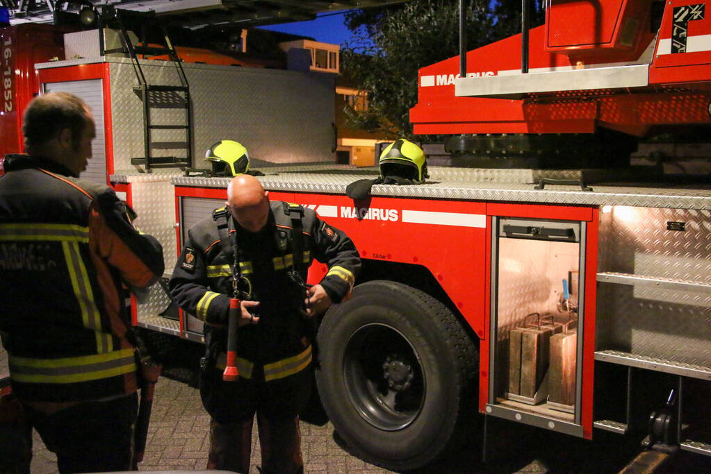 Pauw zoekt het hoger op en zit vast op het dak