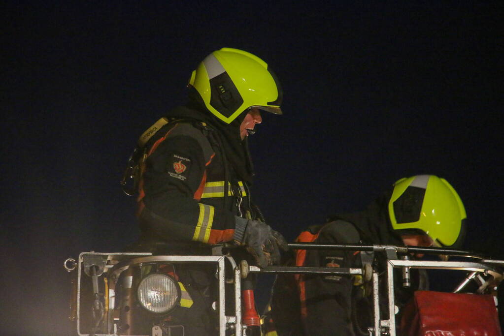 Pauw zoekt het hoger op en zit vast op het dak