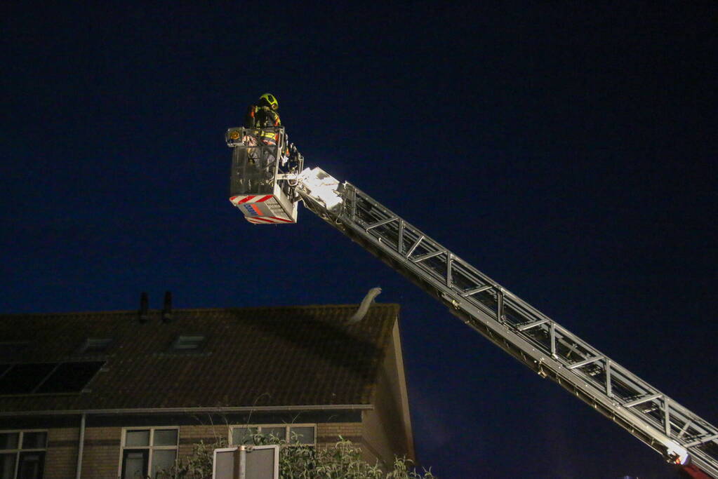 Pauw zoekt het hoger op en zit vast op het dak