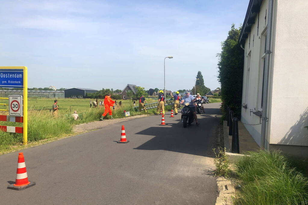 Reddingsactie voor paard te water