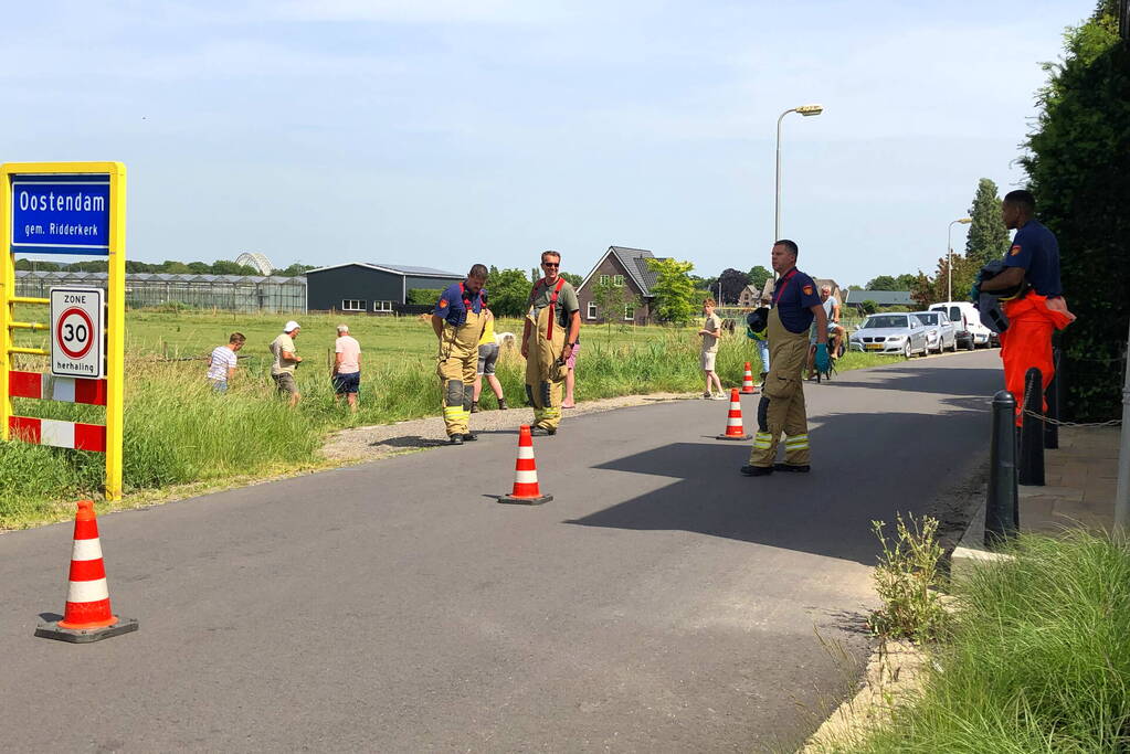 Reddingsactie voor paard te water