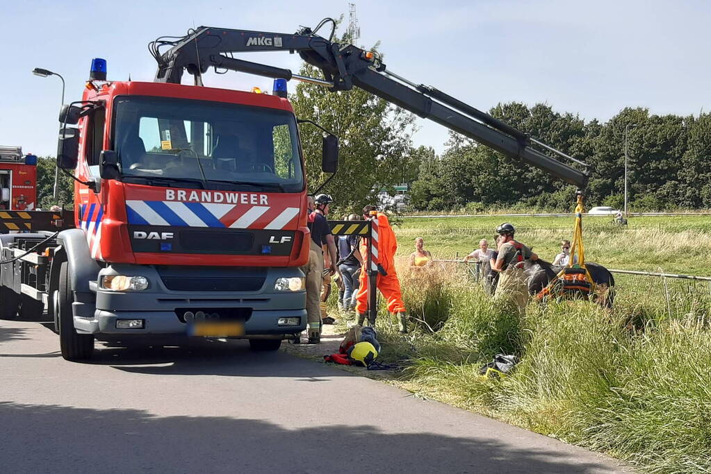 Reddingsactie voor paard te water