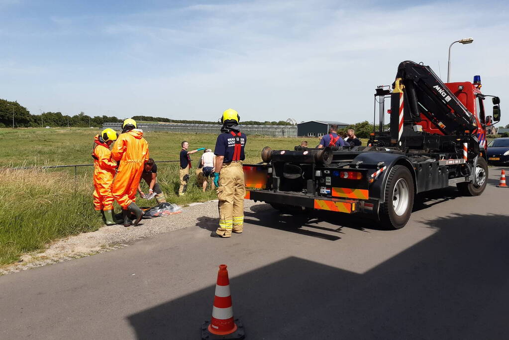 Reddingsactie voor paard te water
