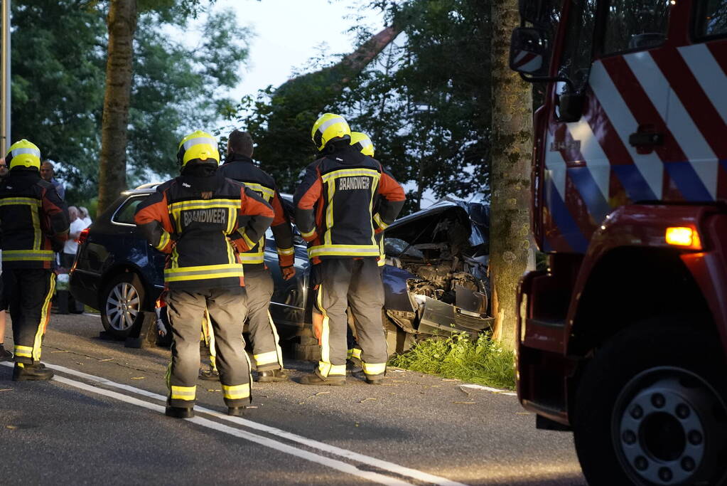 Auto tegen boom
