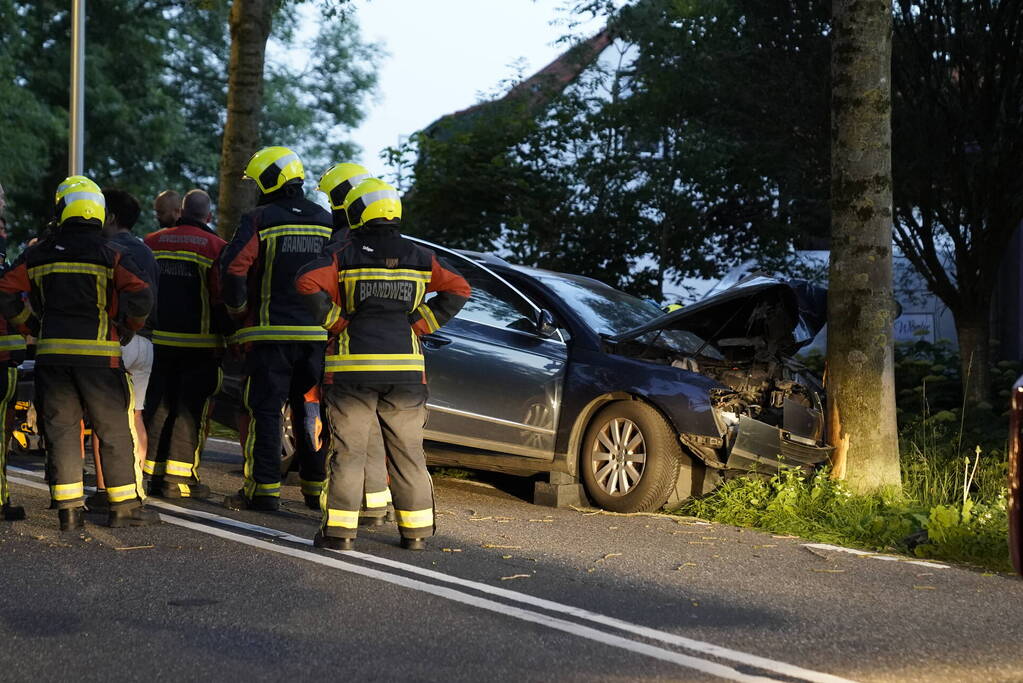 Auto tegen boom