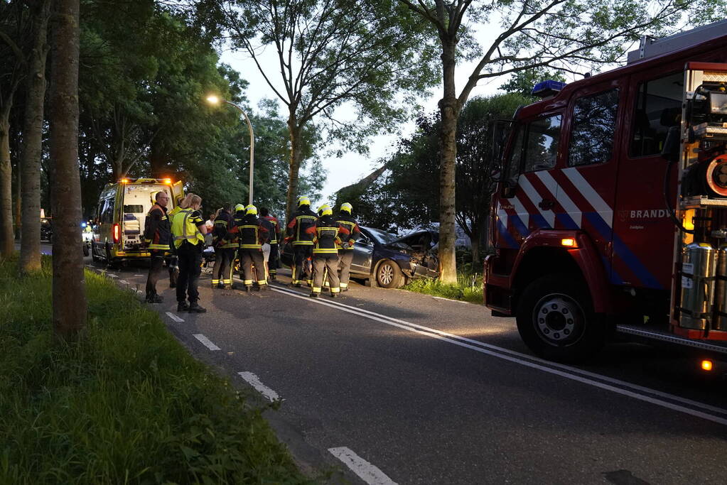 Auto tegen boom