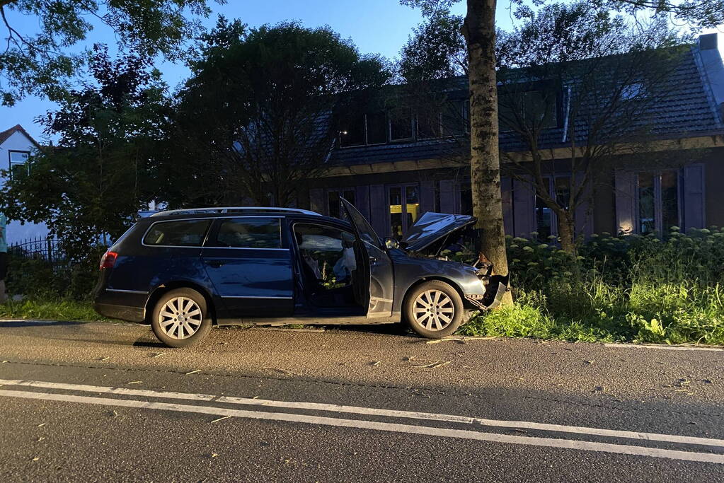 Auto tegen boom